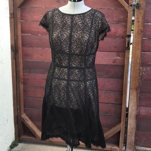 Adrianna Papell Lace Dress